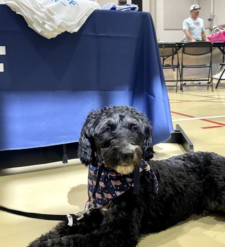 Kiwanis Pet Expo Boohoff Law