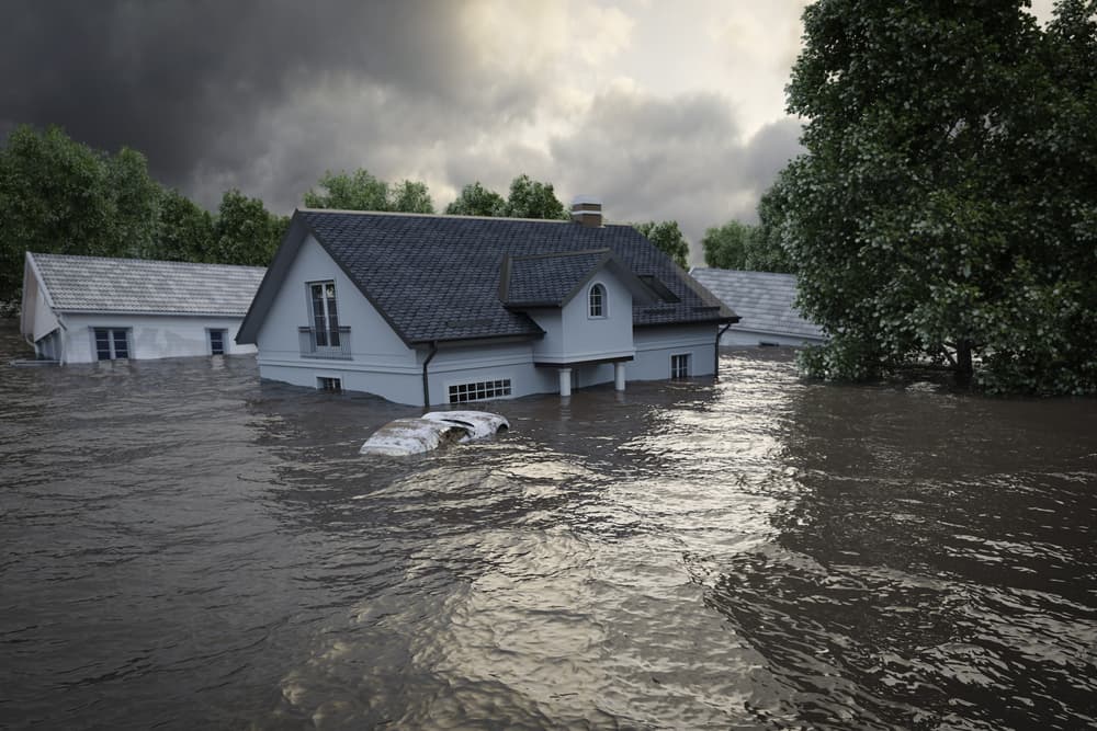 Emergency Water Damage Repair in Montgomery: What You Need to Know